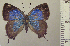 ( - RCB05062)  @11 [ ] by-nc-sa (2024) Robert C. Busby Robert C. Busby