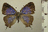  ( - RCB05068)  @11 [ ] by-nc-sa (2024) Robert C. Busby Robert C. Busby
