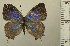  ( - RCB05071)  @11 [ ] by-nc-sa (2024) Robert C. Busby Robert C. Busby
