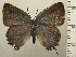  ( - RCB05124)  @11 [ ] by-nc-sa (2025) Robert C. Busby Robert C. Busby