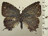  ( - RCB05125)  @11 [ ] by-nc-sa (2025) Robert C. Busby Robert C. Busby