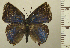  ( - RCB05132)  @11 [ ] by-nc-sa (2025) Robert C. Busby Robert C. Busby