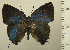  ( - RCB05133)  @11 [ ] by-nc-sa (2025) Robert C. Busby Robert C. Busby