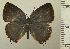  ( - RCB05147)  @11 [ ] by-nc-sa (2025) Robert C. Busby Robert C. Busby