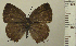  ( - RCB05149)  @11 [ ] by-nc-sa (2025) Robert C. Busby Robert C. Busby