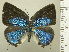  ( - RCB05579)  @11 [ ] by-nc-sa (2025) Robert C. Busby Robert C. Busby