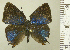  ( - RCB05603)  @11 [ ] by-nc-sa (2025) Robert C. Busby Robert C. Busby