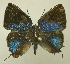  ( - RCB05604)  @11 [ ] by-nc-sa (2025) Robert C. Busby Robert C. Busby