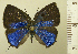  ( - RCB08226)  @11 [ ] by-nc-sa (2025) Robert C. Busby Robert C. Busby