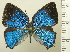  ( - RCB08251)  @11 [ ] by-nc-sa (2025) Robert C. Busby Robert C. Busby
