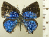  ( - RCB08347)  @11 [ ] by-nc-sa (2025) Robert C. Busby Robert C. Busby