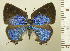  ( - RCB08348)  @11 [ ] by-nc-sa (2025) Robert C. Busby Robert C. Busby