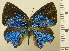  ( - RCB08360)  @11 [ ] by-nc-sa (2025) Robert C. Busby Robert C. Busby
