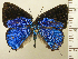  ( - RCB08372)  @11 [ ] by-nc-sa (2025) Robert C. Busby Robert C. Busby