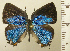  ( - RCB08375)  @11 [ ] by-nc-sa (2025) Robert C. Busby Robert C. Busby