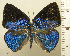  ( - RCB08386)  @11 [ ] by-nc-sa (2025) Robert C. Busby Robert C. Busby