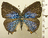  ( - RCB08387)  @11 [ ] by-nc-sa (2025) Robert C. Busby Robert C. Busby