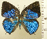  ( - RCB08454)  @11 [ ] by-nc-sa (2025) Robert C. Busby Robert C. Busby