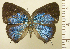  ( - RCB08458)  @11 [ ] by-nc-sa (2025) Robert C. Busby Robert C. Busby