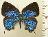  ( - RCB08466)  @11 [ ] by-nc-sa (2025) Robert C. Busby Robert C. Busby