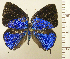  ( - RCB08631)  @11 [ ] by-nc-sa (2025) Robert C. Busby Robert C. Busby
