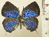  ( - RCB09476)  @11 [ ] by-nc-sa (2025) Robert C. Busby Robert C. Busby