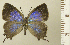  ( - RCB14779)  @11 [ ] by-nc-sa (2024) Robert C. Busby Robert C. Busby