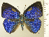  ( - RCB14780)  @11 [ ] by-nc-sa (2025) Robert C. Busby Robert C. Busby