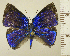  ( - RCB14911)  @11 [ ] by-nc-sa (2023) Robert C. Busby Robert C. Busby