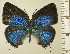  ( - RCB14979)  @11 [ ] by-nc-sa (2025) Robert C. Busby Robert C. Busby