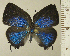  ( - RCB15101)  @11 [ ] by-nc-sa (2025) Robert C. Busby Robert C. Busby