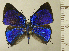  ( - RCB15268)  @11 [ ] by-nc-sa (2023) Robert C. Busby Robert C. Busby
