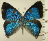  ( - RCB15328)  @11 [ ] by-nc-sa (2025) Robert C. Busby Robert C. Busby