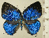  ( - RCB15364)  @11 [ ] by-nc-sa (2025) Robert C. Busby Robert C. Busby