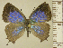  ( - RCB15428)  @11 [ ] by-nc-sa (2024) Robert C. Busby Robert C. Busby