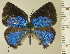  ( - RCB15497)  @11 [ ] by-nc-sa (2025) Robert C. Busby Robert C. Busby