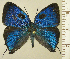  ( - RCB15510)  @11 [ ] by-nc-sa (2025) Robert C. Busby Robert C. Busby