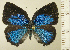  ( - RCB16170)  @11 [ ] by-nc-sa (2025) Robert C. Busby Robert C. Busby
