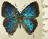  ( - RCB16223)  @11 [ ] by-nc-sa (2025) Robert C. Busby Robert C. Busby