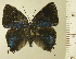  ( - RCB16243)  @11 [ ] by-nc-sa (2025) Robert C. Busby Robert C. Busby