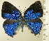  ( - RCB16262)  @11 [ ] by-nc-sa (2025) Robert C. Busby Robert C. Busby