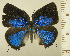  ( - RCB16325)  @11 [ ] by-nc-sa (2025) Robert C. Busby Robert C. Busby