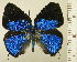  ( - RCB16334)  @11 [ ] by-nc-sa (2025) Robert C. Busby Robert C. Busby