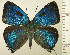  ( - RCB16354)  @11 [ ] by-nc-sa (2025) Robert C. Busby Robert C. Busby