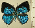  ( - RCB16396)  @11 [ ] by-nc-sa (2025) Robert C. Busby Robert C. Busby