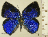  ( - RCB16409)  @11 [ ] by-nc-sa (2025) Robert C. Busby Robert C. Busby