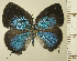  ( - RCB16416)  @11 [ ] by-nc-sa (2025) Robert C. Busby Robert C. Busby