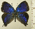  ( - RCB16467)  @11 [ ] by-nc-sa (2025) Robert C. Busby Robert C. Busby
