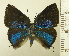  ( - RCB06364)  @11 [ ] by-nc-sa (2022) Robert C. Busby Robert C. Busby