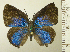  ( - RCB06383)  @11 [ ] by-nc-sa (2022) Robert C. Busby Robert C. Busby